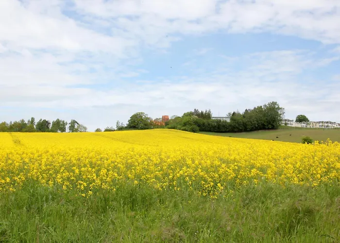 Apartment mit Meerblick und Balkon, gratis Nutzung vom AHOI Erlebnisbad und Sauna in Sellin - Meeresblick FeWo 66